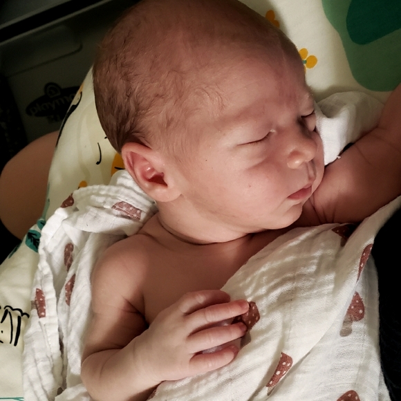 Meet your Posher, Elizabeth - Picture 2 of 9